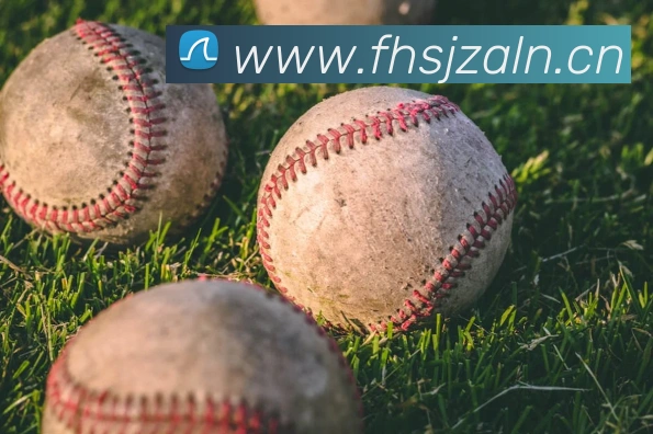 mksports网站平台生态图